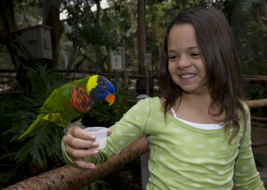 San Diego Zoo and Safari Park 2-Day Entry Ticket - Elephant Valley in 2026: the biggest habitat project you’ll hear about