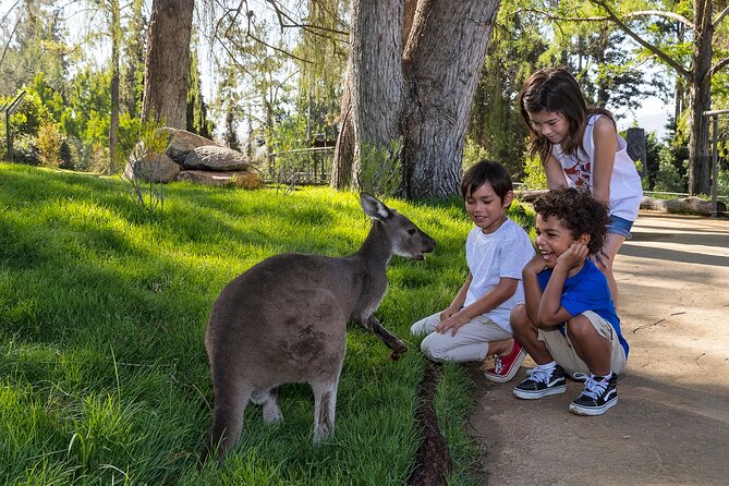 San Diego Zoo and Safari Park 2-Visit Pass Ticket - San Diego Zoo + Safari Park: what this 2-Visit pass really covers