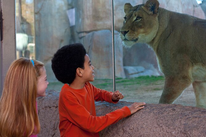 San Diego Zoo and Safari Park 2-Visit Pass Ticket - Who should buy this pass—and who might rethink it