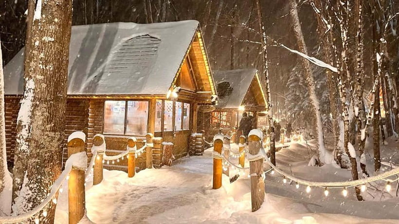 Sapporo Winter : Asahiyama Zoo (Penguin Fun & Snowmobile) - Price and Value: What You’re Paying For