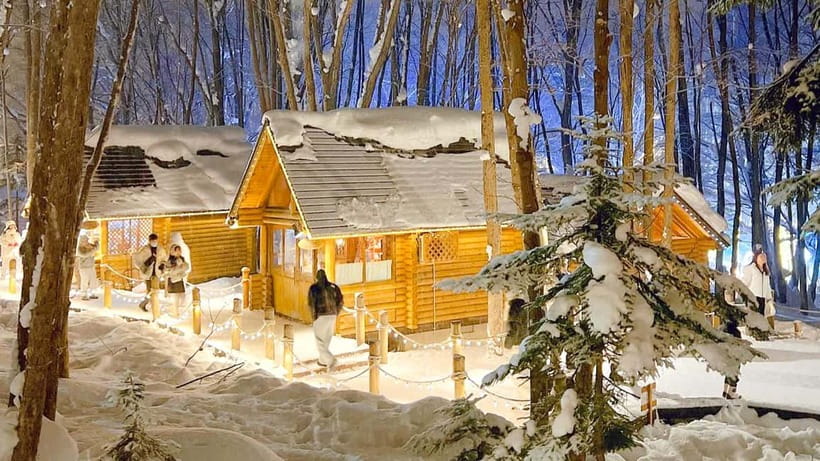 Sapporo Winter : Asahiyama Zoo (Penguin Fun & Snowmobile) - Transport Comfort and Day-Long Realities in Hokkaido Winter