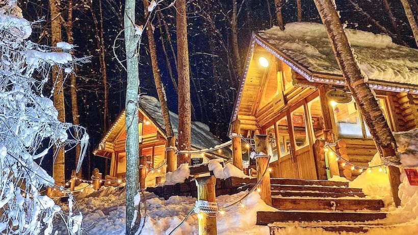 Sapporo Winter : Asahiyama Zoo (Penguin Fun & Snowmobile) - Tour Guides: Clear Communication Makes Winter Easier