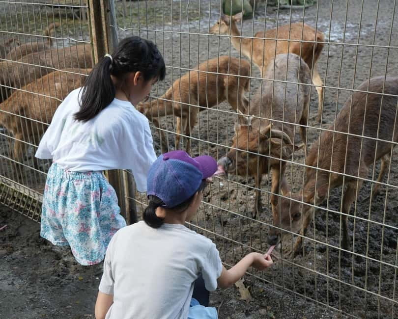Selangor: Zoo Negara E-Ticket - Key Things to Know Before You Go