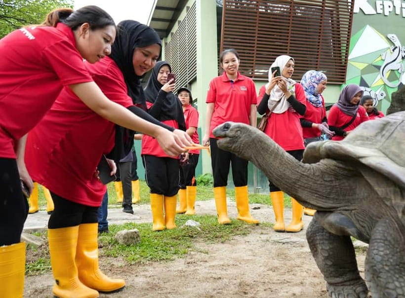 Selangor: Zoo Negara E-Ticket - Giant Panda Conservation Centre: Plan This First