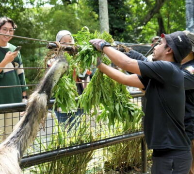 Selangor: Zoo Negara E-Ticket - Arrive Smart: Zoo Hours and Timing That Makes a Big Difference
