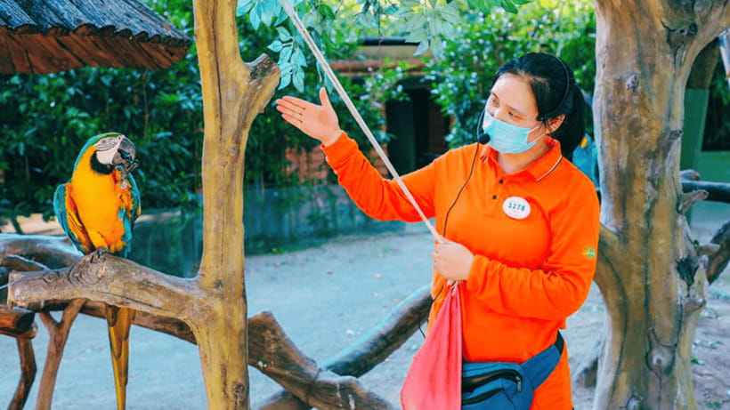Shanghai: Wild Animal Park Ticket - Practical Logistics That Actually Affect Your Day