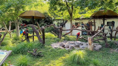 Shanghai: Zoo and Zhujiajiao Water Town Tour with Boat Ride - Door-to-door pickup in a private car (and why it changes the day)