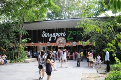 Singapore Bird Paradise & Zoo Full Day (Ticket & Transfer ) - Singapore Zoo: Open Habitats and a Zoo That Feels Like Nature
