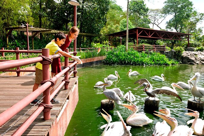 Singapore Bird Paradise & Zoo Full Day (Ticket & Transfer ) - Timing and Real-World Comfort: How to Plan Your Day
