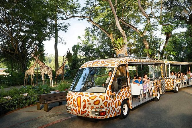 Singapore Bird Paradise & Zoo Full Day (Ticket & Transfer ) - Price and Value: What You’re Actually Paying For