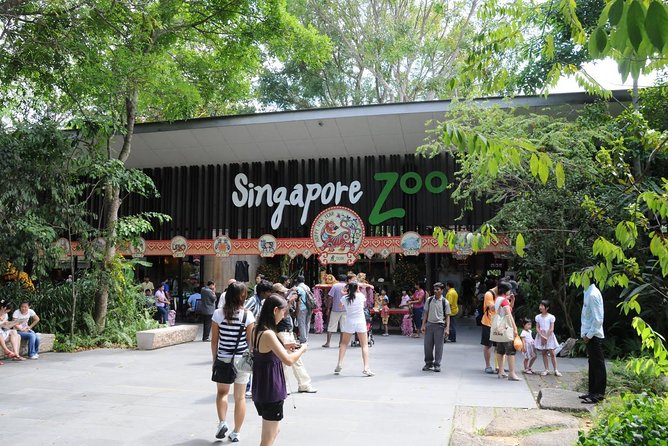 Singapore Bird Paradise & Zoo Full Day (Ticket & Transfer ) - Singapore Zoo: Open Habitats and a Zoo That Feels Like Nature