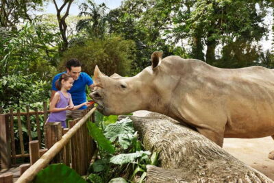 Singapore Zoo: 1-Day Entrance E-Ticket - Your 1-Day Ticket: What’s Included and How to Use It