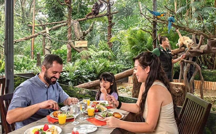 Singapore Zoo: 1-Day Entrance E-Ticket - Elevated Platforms, Underwater Galleries, and Glass Observatories