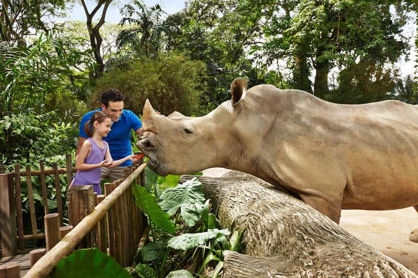 Singapore Zoo: 1-Day Entrance E-Ticket - Your 1-Day Ticket: What’s Included and How to Use It