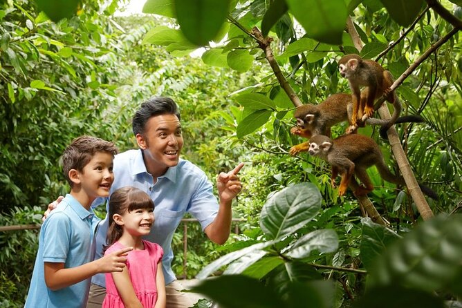 Singapore Zoo - Key things to notice before you go