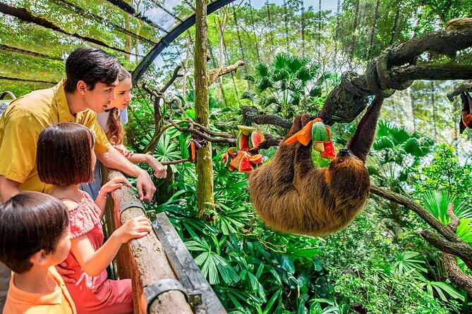 Singapore Zoo - Why Singapore Zoo feels different from the usual zoo