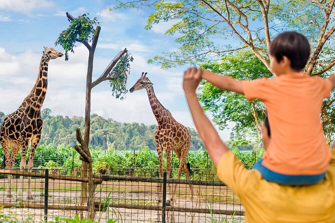 Singapore Zoo - Timing the day: last admission, tram departures, and shows