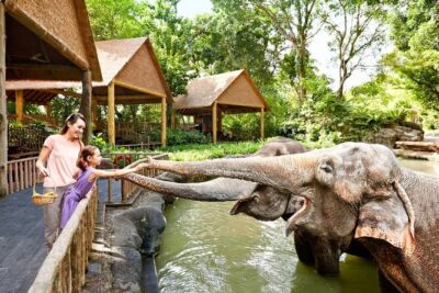 Singapore Zoo - Ticket value: what about $45.91 includes (and why it matters)