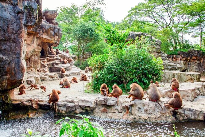 Singapore Zoo - The animal highlights you’ll want to aim for