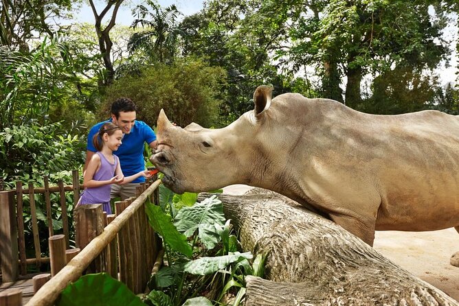 Singapore Zoo - Food, souvenirs, and how to keep energy up