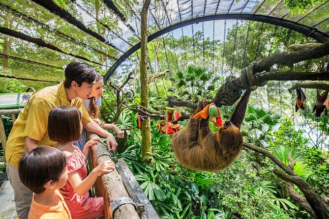 Singapore Zoo Entry Ticket - Key things that make this Singapore Zoo ticket worth it