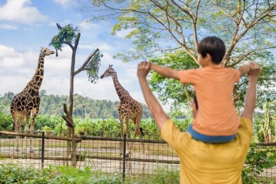 Singapore Zoo Entry Ticket - The biodome and habitat walks: where you’ll slow down and actually watch