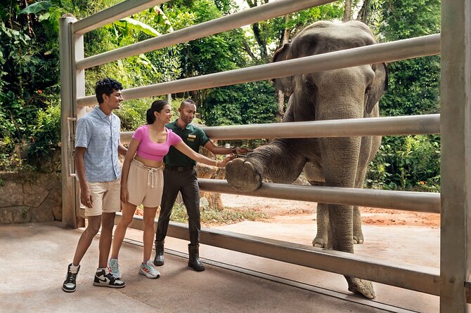 Singapore Zoo Entry Ticket - Feeding sessions, keeper talks, and shows that shape your timing
