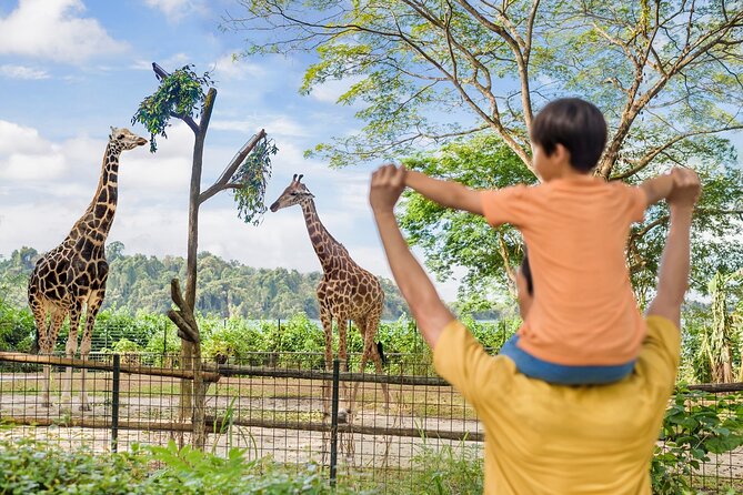 Singapore Zoo Entry Ticket - The biodome and habitat walks: where you’ll slow down and actually watch