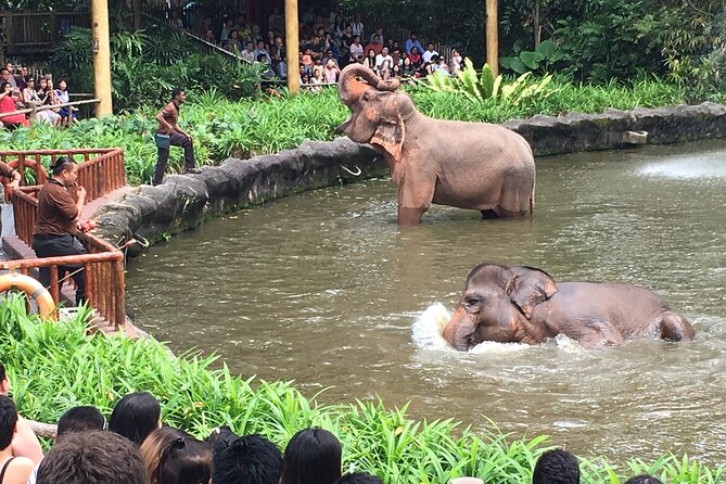 Singapore Zoo & Night Safari Day ( Tickets & Transfer ) - Value and ticket math: is $141.64 worth it?