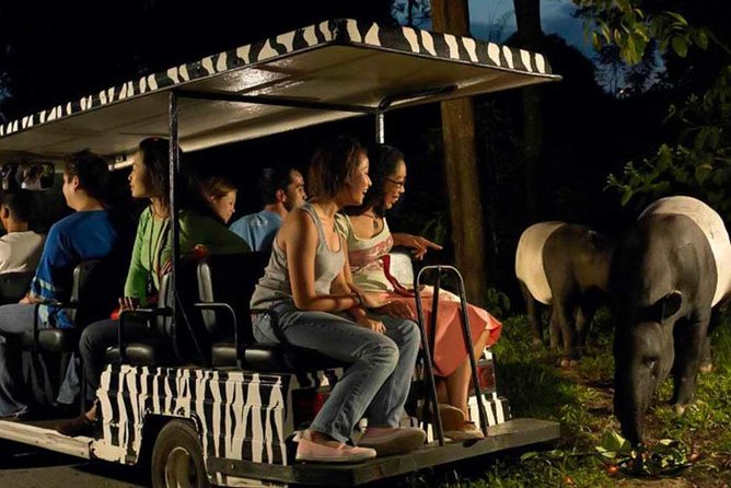 Singapore Zoo & Night Safari Day ( Tickets & Transfer ) - Practical pacing tips for a smooth 8-hour wildlife day