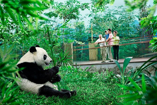 Singapore Zoo & Night Safari Day ( Tickets & Transfer ) - Who should book this tour (and who should skip it)