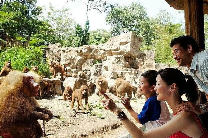 Singapore Zoo with Tram Ride Experience for Tourist - Singapore Zoo with Tram Ride: what you’re really paying for