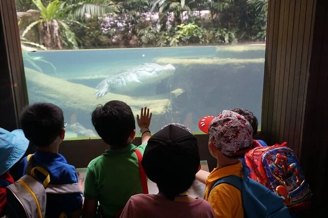 Singapore Zoo with Tram Ride Experience for Tourist - The tram ride: your time-saving shortcut through rainforest to desert zones