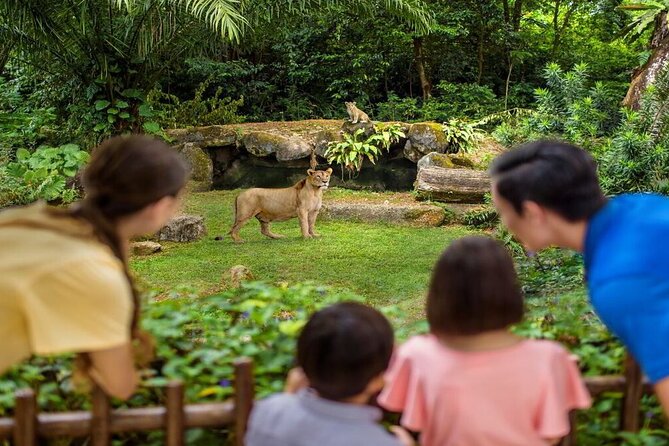 Singapore Zoo with Tram Ride Experience for Tourist - What to expect at the zoo day stop (and how to move through it)