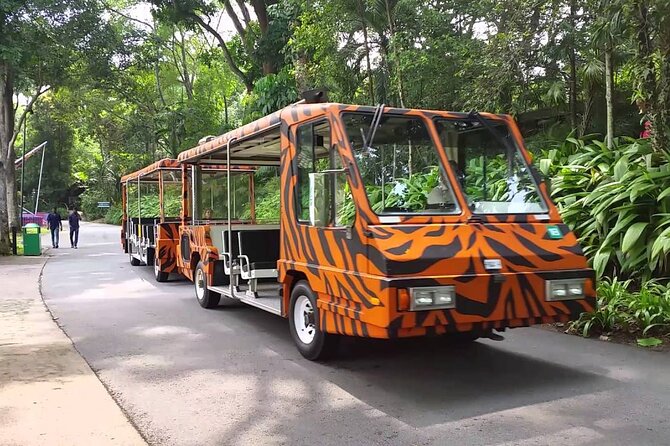 Singapore Zoo with Tram Ride Experience for Tourist - Open habitats and the animal mix that keeps attention high