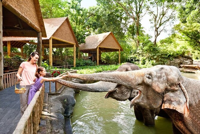 Singapore Zoo - Ticket value: what about $45.91 includes (and why it matters)