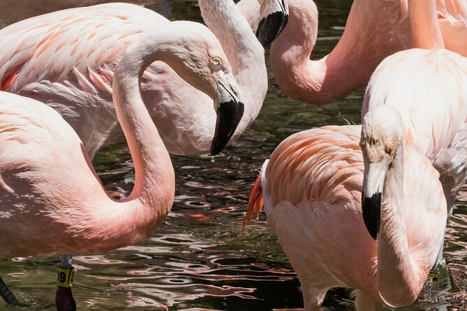 Skip the Line: Daily Admission at Woodland Park Zoo Ticket - Zoomazium: a smart indoor break for families