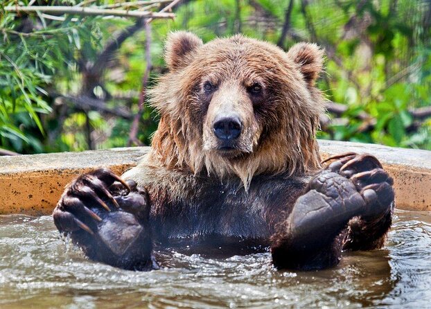 Skip the Line: Kamloops BC Wildlife Park Admission Ticket - Key Highlights to Know Before You Go