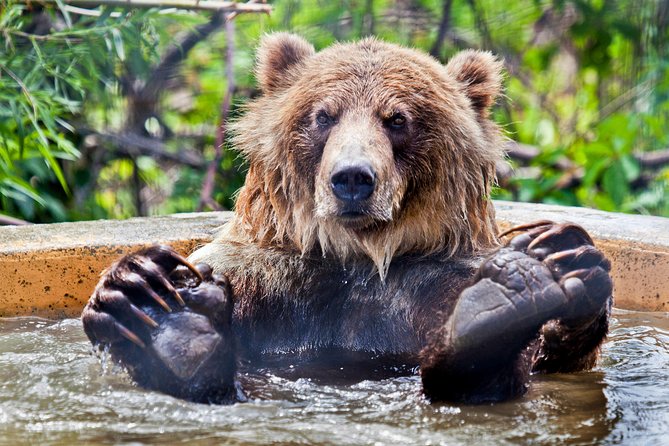 Skip the Line: Kamloops BC Wildlife Park Admission Ticket - Entering BC Wildlife Park Without the Fuss