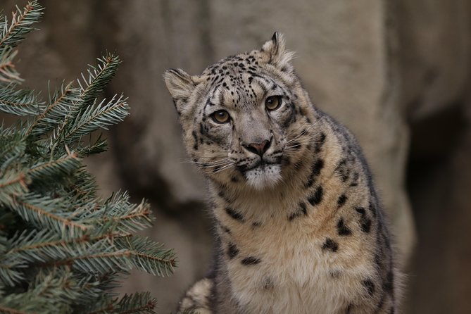 Skip the Line: Miller Park Zoo General Admission Ticket - Key highlights at Miller Park Zoo with this admission ticket