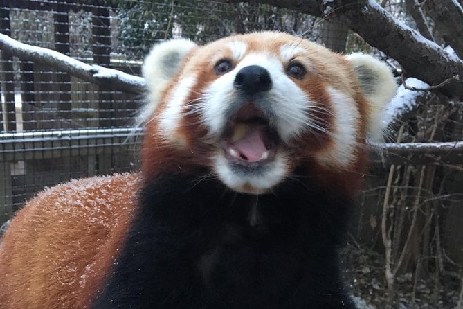 Skip the Line: Miller Park Zoo General Admission Ticket - Miller Park Zoo admission in Bloomington: what you’re really buying