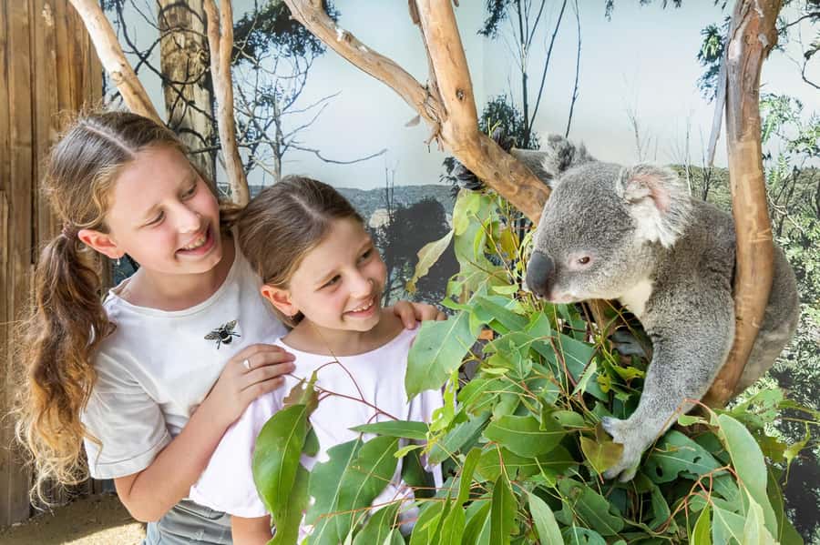 Small Group Blue Mountains, Wildlife & Scenic World Day Tour - Key highlights
