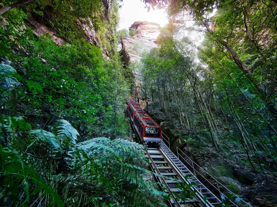 Small Group: Zoo, Blue Mountains, Scenic World Mandarin Tour - Price and value: is $147 reasonable for what you get?