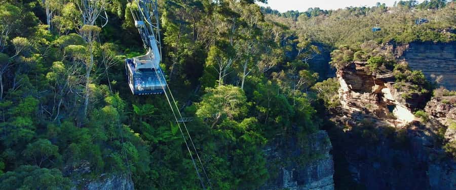 Small Group: Zoo, Blue Mountains, Scenic World Mandarin Tour - Timing, walking, and what to pack (without overthinking it)