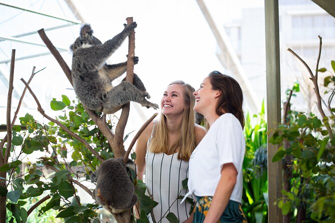 Sydney Attractions Pass: SEA LIFE Aquarium, Sydney Tower Eye, WILD LIFE Zoo and Madame Tussauds - Price and Value: Why $38.73 Can Be a Smart Move