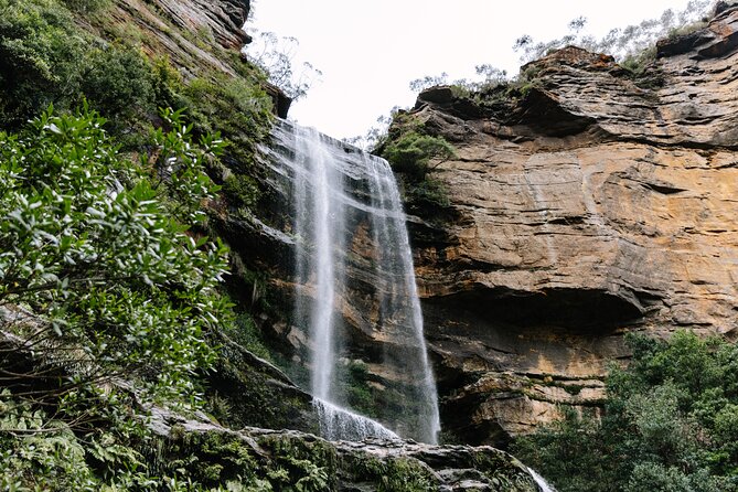 Sydney Blue Mountains Day Tour with Wildlife Park and Waterfalls - Key things I’d plan around
