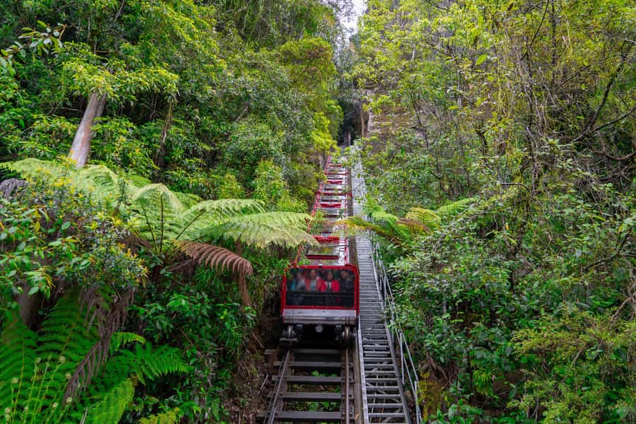 Sydney: Blue Mountains, Scenic World, Zoo & Lincoln's Rock - Key highlights you’ll feel right away