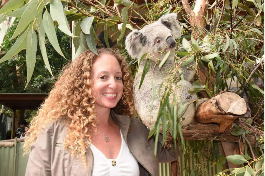 Sydney: Featherdale Wildlife Park Private Tour - Koalas: what to do if getting close is your top goal