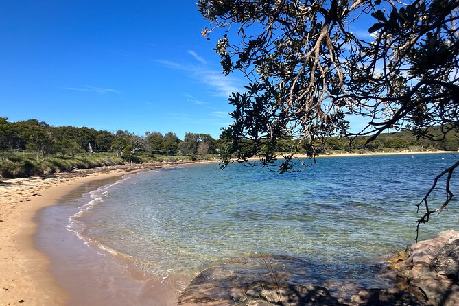 Sydney Private Tour Inc The Royal National Park and Symbio Zoo - Stop 1: Bald Hill Lookout for those long-coast views