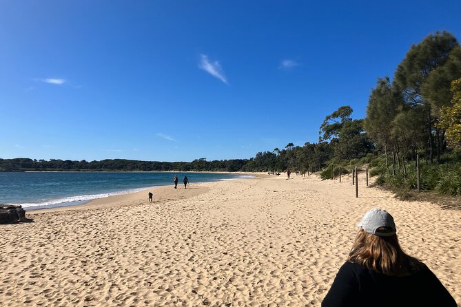 Sydney Private Tour Inc The Royal National Park and Symbio Zoo - Stop 4: Wedding Cake Rock hike and the power of the coastline
